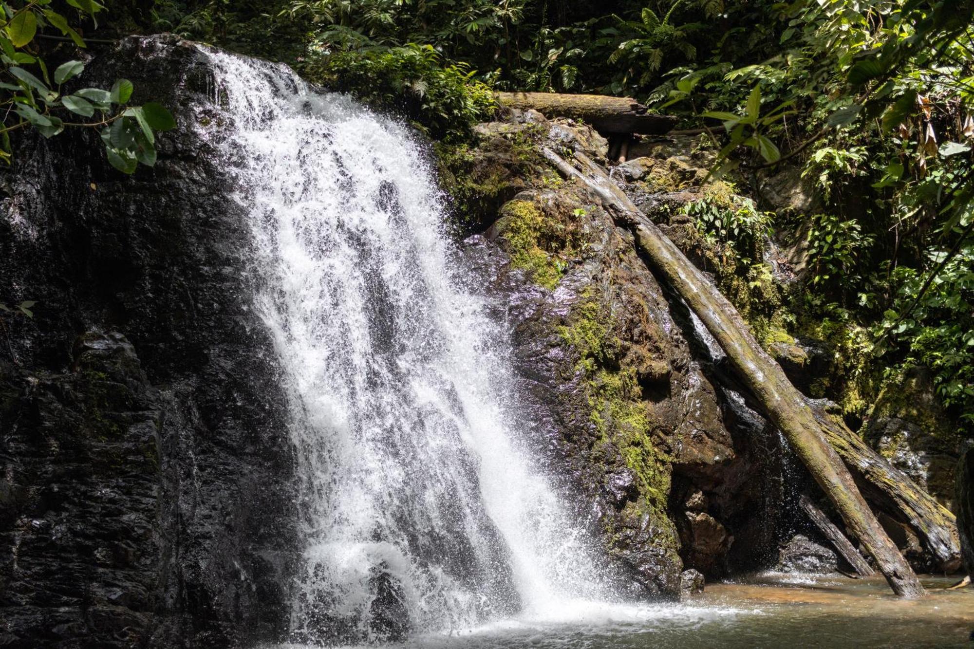 Cascadas Corcovado - Luxury Villa Charcos Kültér fotó